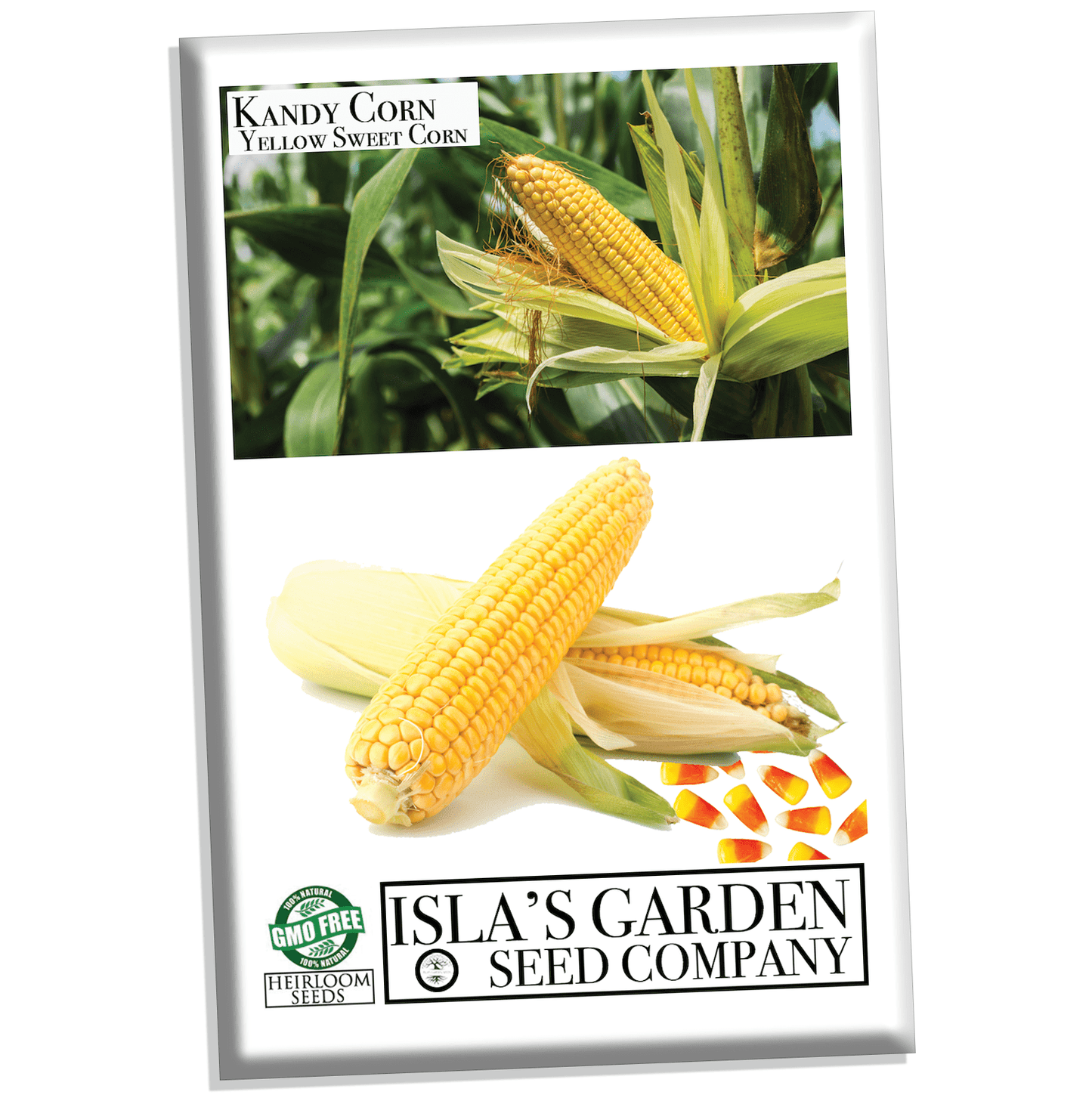 Kandy Corn Seeds, 25 Heirloom Seeds Per Packet, Non GMO Seeds, Botanical Name: Zea mays