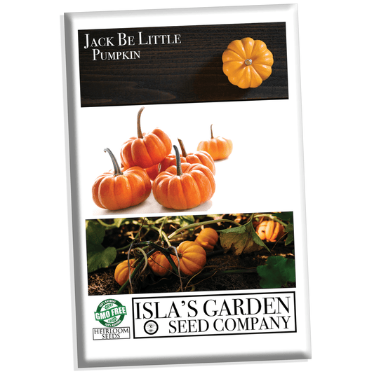 Jack Be Little Pumpkin Seeds, 10 Heirloom Seeds Per Packet, Non GMO Seeds, Botanical Name: Cucurbita Maxima