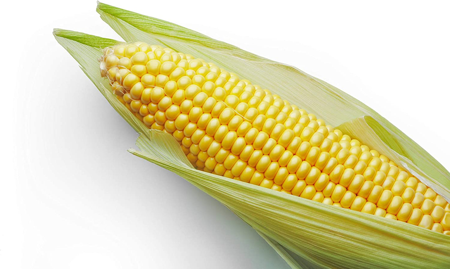 Incredible Sweet Yellow Corn, 75+ Heirloom Seeds Per Packet, Non GMO Seeds, Botanical Name: Zea Mays