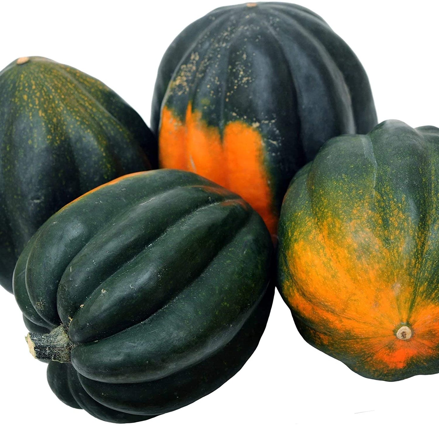 Table Queen Acorn Winter Squash, 30 Heirloom Seeds Per Packet, Non GMO Seeds