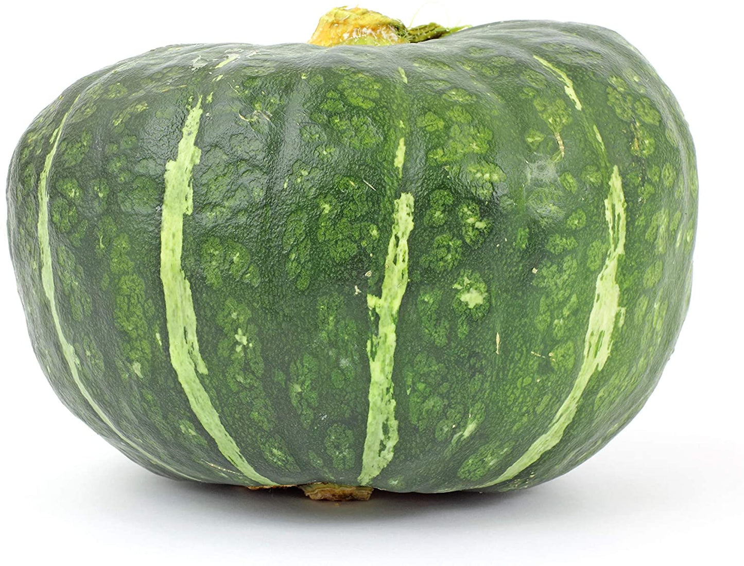 Burgess Buttercup Winter Squash, 25 Heirloom Seeds Per Packet, Non GMO Seeds