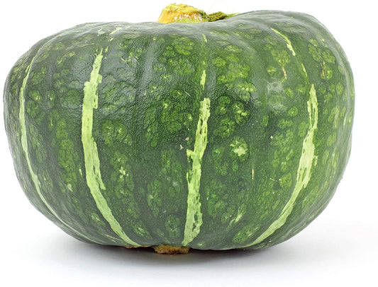 Burgess Buttercup Winter Squash, 25 Heirloom Seeds Per Packet, Non GMO Seeds