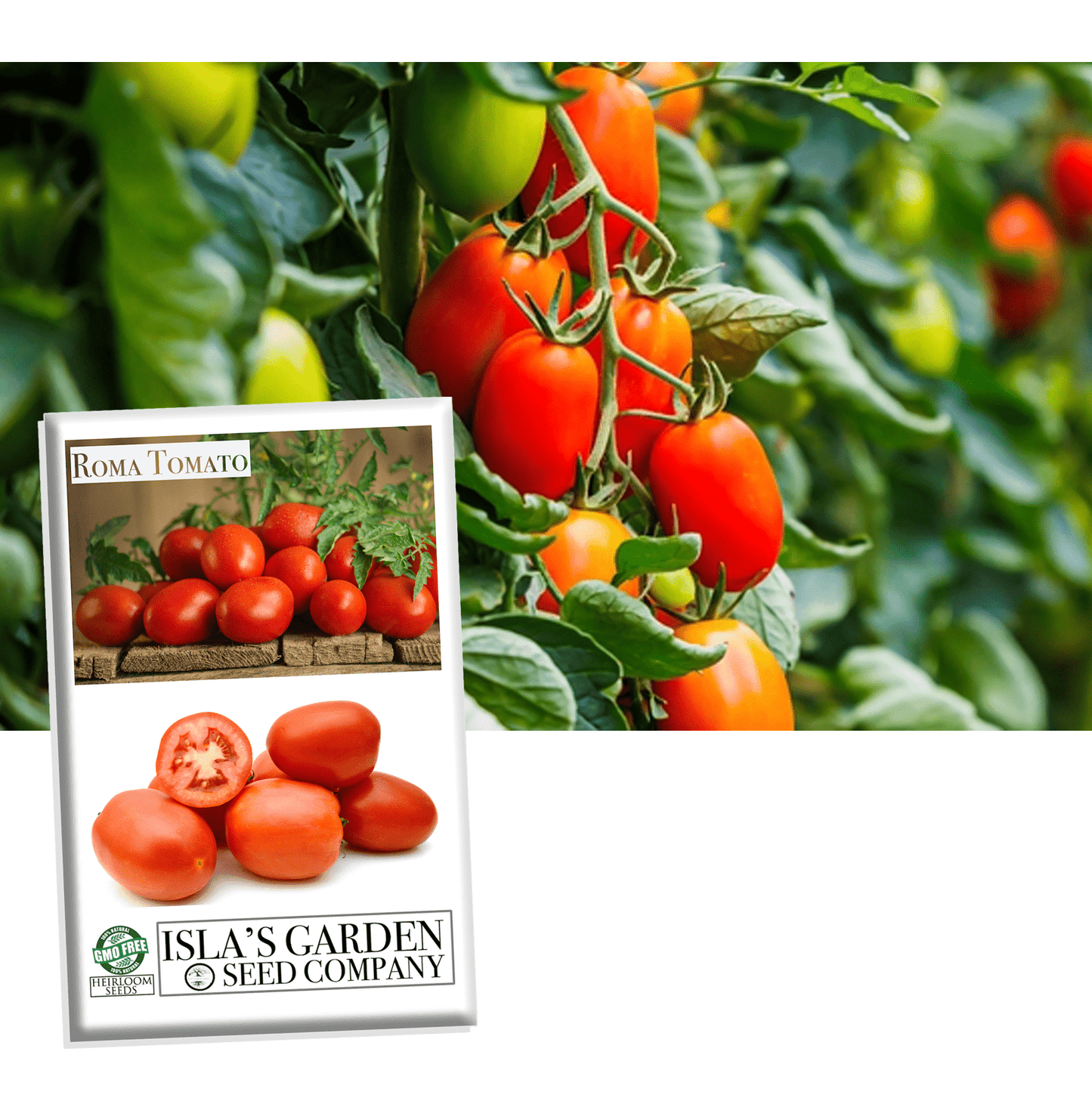 Roma Heirloom Tomato Seeds, 300 Heirloom Seeds Per Packet, Non GMO Seeds, Botanical Name: Solanum lycopersicum