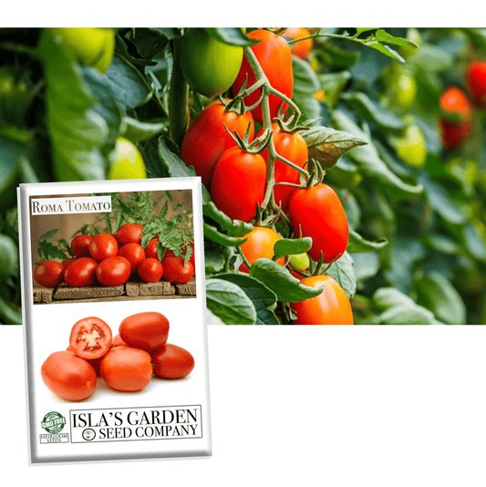 Roma Heirloom Tomato Seeds, 300 Heirloom Seeds Per Packet, Non GMO Seeds, Botanical Name: Solanum lycopersicum