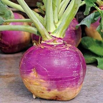 American Purple Top Rutabaga Seeds, 150 Heirloom Seeds Per Packet, Non GMO Seeds