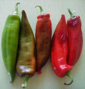 Anaheim Chili Pepper Seeds, 100 Heirloom Seeds Per Packet, Non GMO Seeds