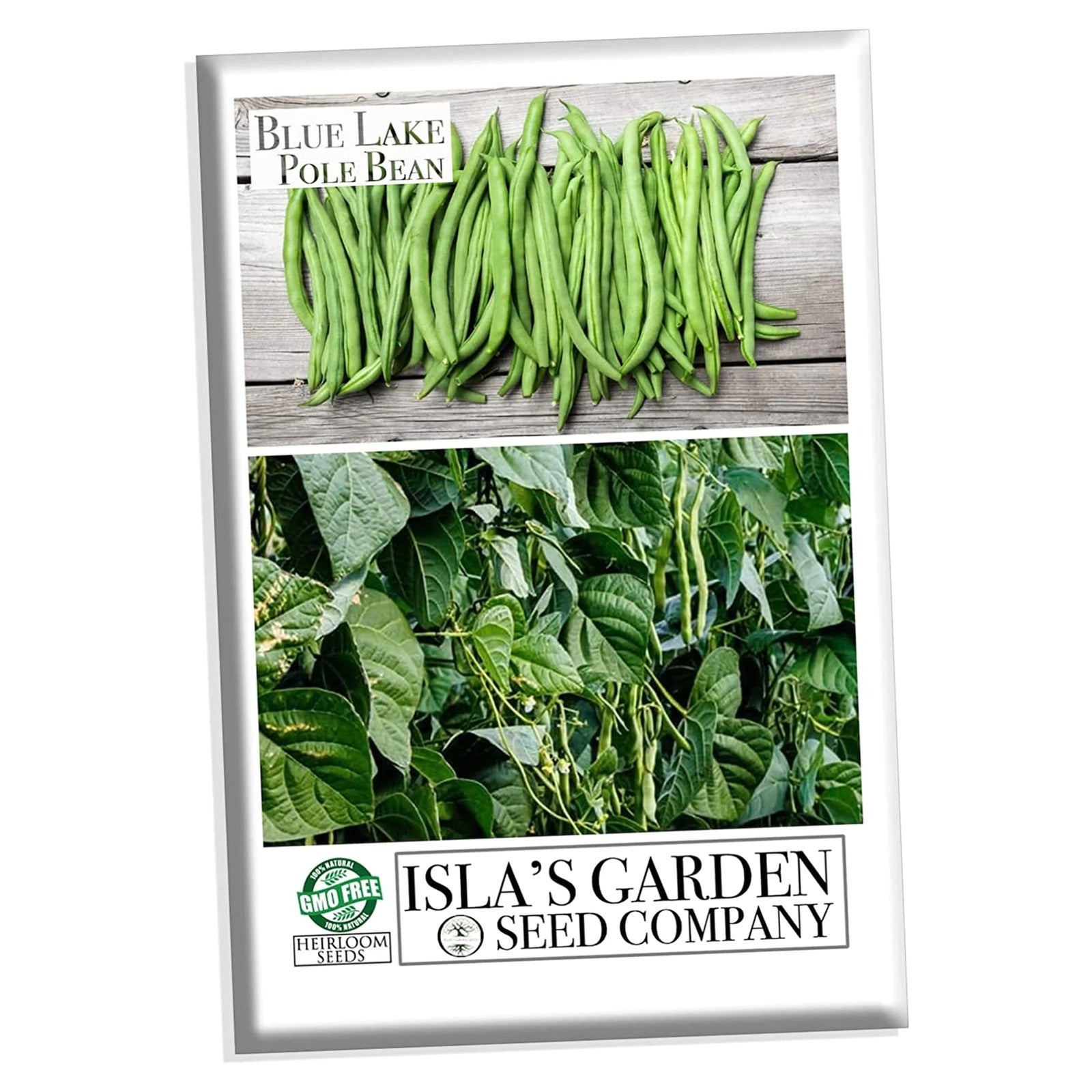 Blue Lake Pole Bean FM1K, 50 Heirloom Seeds Per Packet, Non GMO Seeds