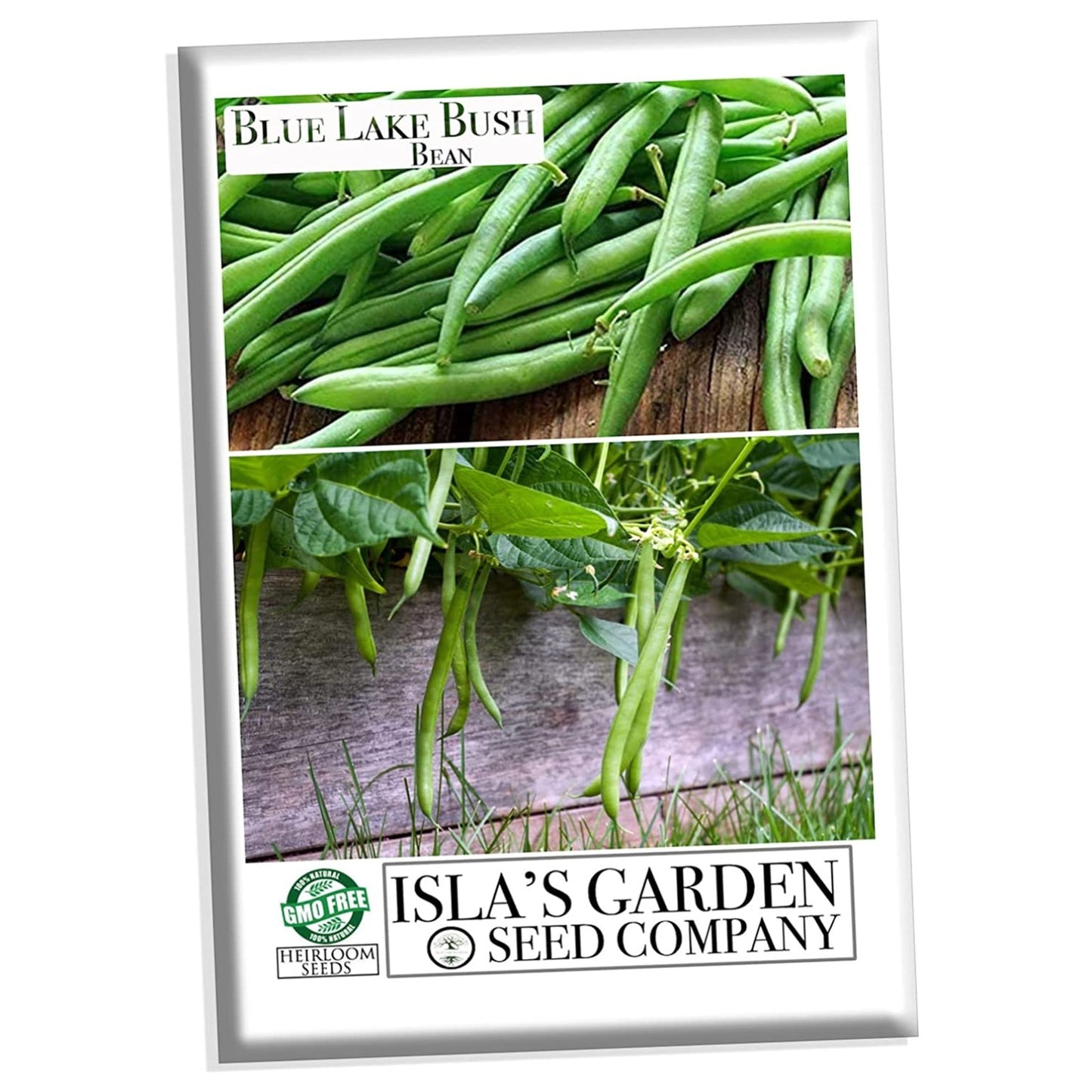 Blue Lake Bush Green Bean Seeds, 50 Heirloom Seeds Per Packet, Non GMO Seeds