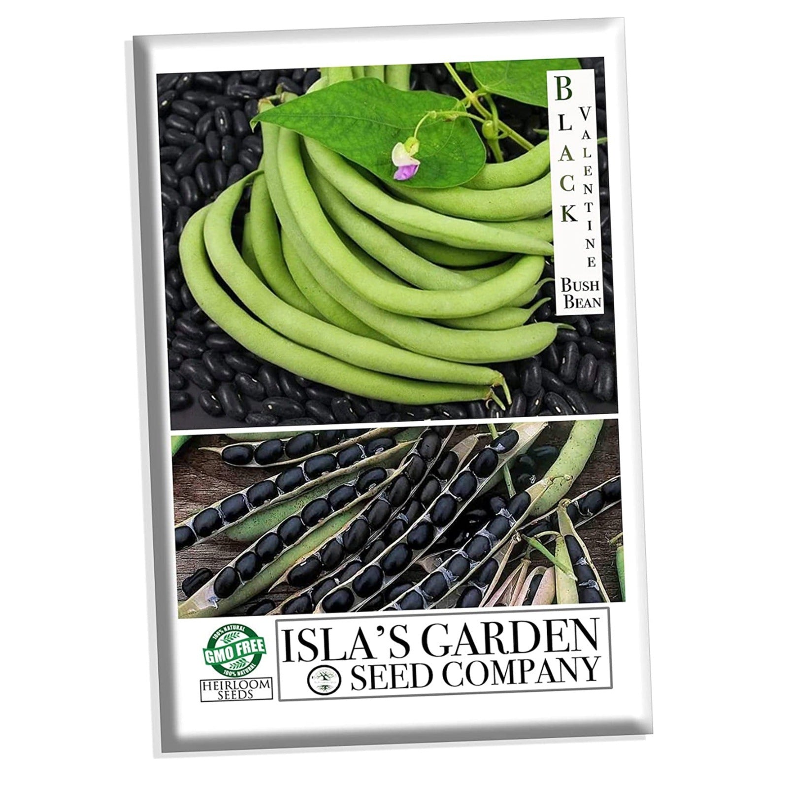 black garden seeds Black Valentine Bush Bean Seeds, 50+ Heirloom Seeds Per Packet, Non GMO Seeds, Botanical Name: Phaseolus vulgaris