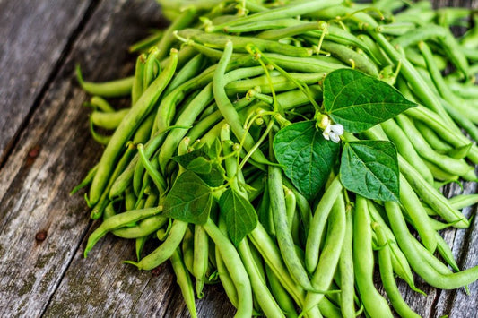 Kentucky Wonder Brown Pole Bean Seeds, 30 Heirloom Seeds Per Packet, Non GMO Seeds