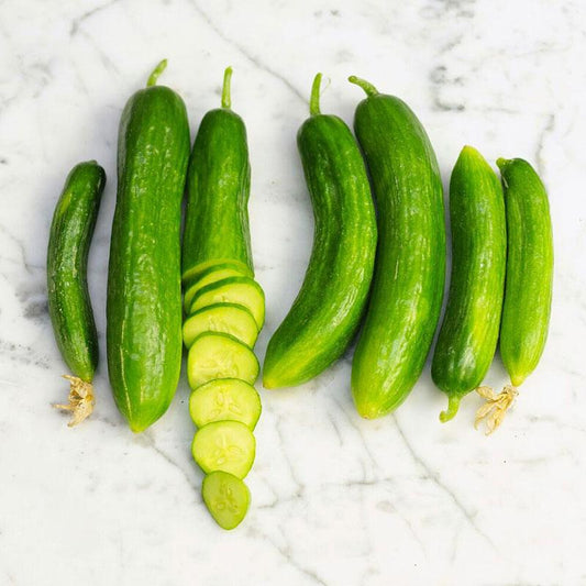 Beit Alpha Burpless Cucumber, 100 Heirloom Seeds Per Packet, Non GMO Seeds