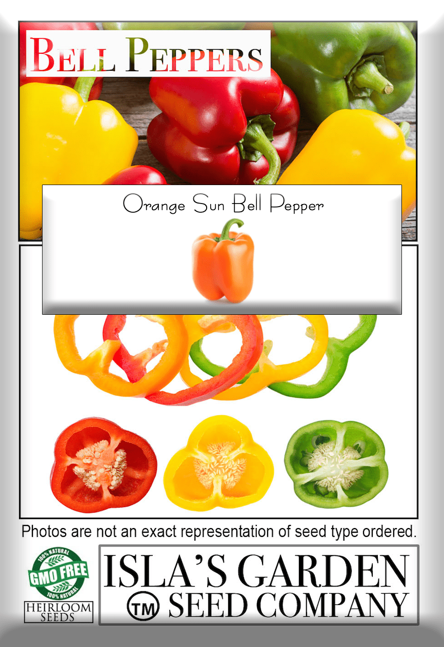 Orange Sun Sweet Pepper Seeds, 100 Heirloom Seeds Per Packet, Non GMO Seeds, Botanical Name: Capsicum annuum