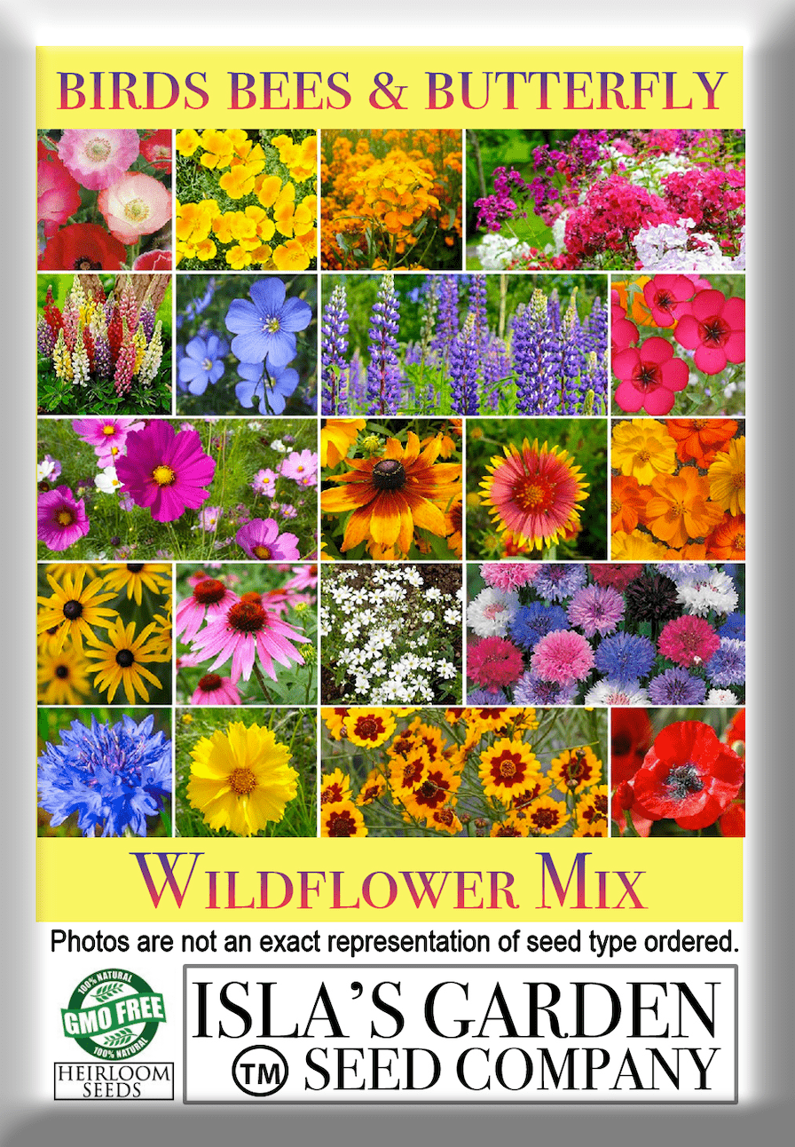 Birds Bees & Butterflies Flower Mix, 500 Seeds Per Packet, Non GMO Seeds