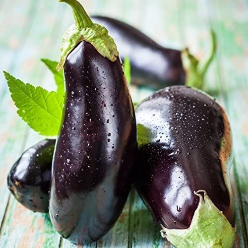Black Beauty Eggplant Seeds, 100 Heirloom Seeds Per Packet, Non GMO Seeds, Botanical Name: Solanum melongena