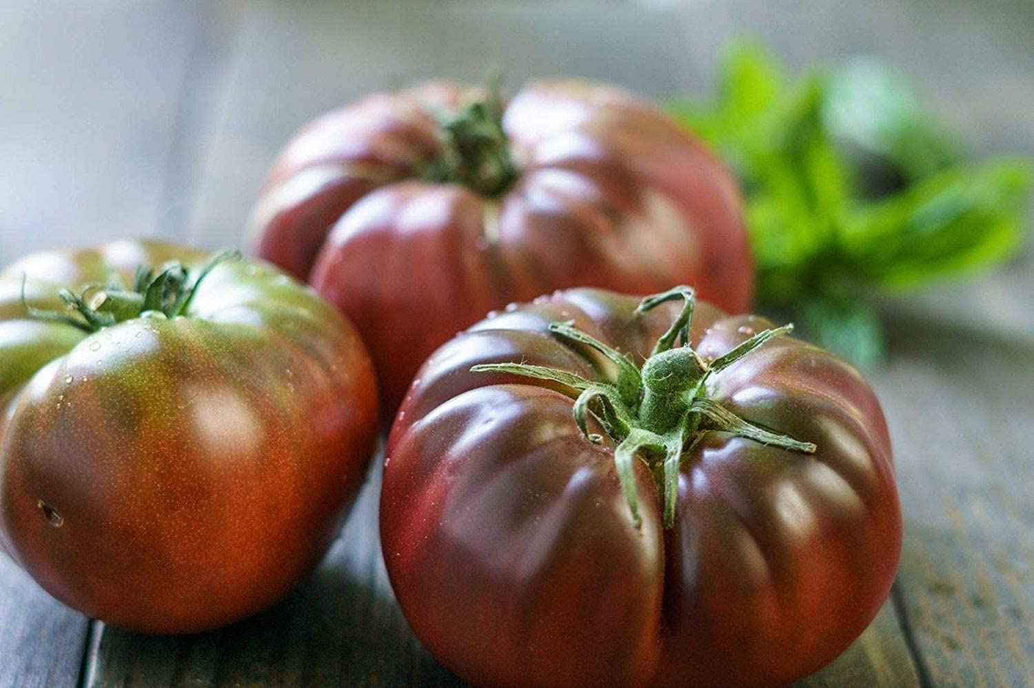 Black Brandywine Heirloom Tomato Seeds