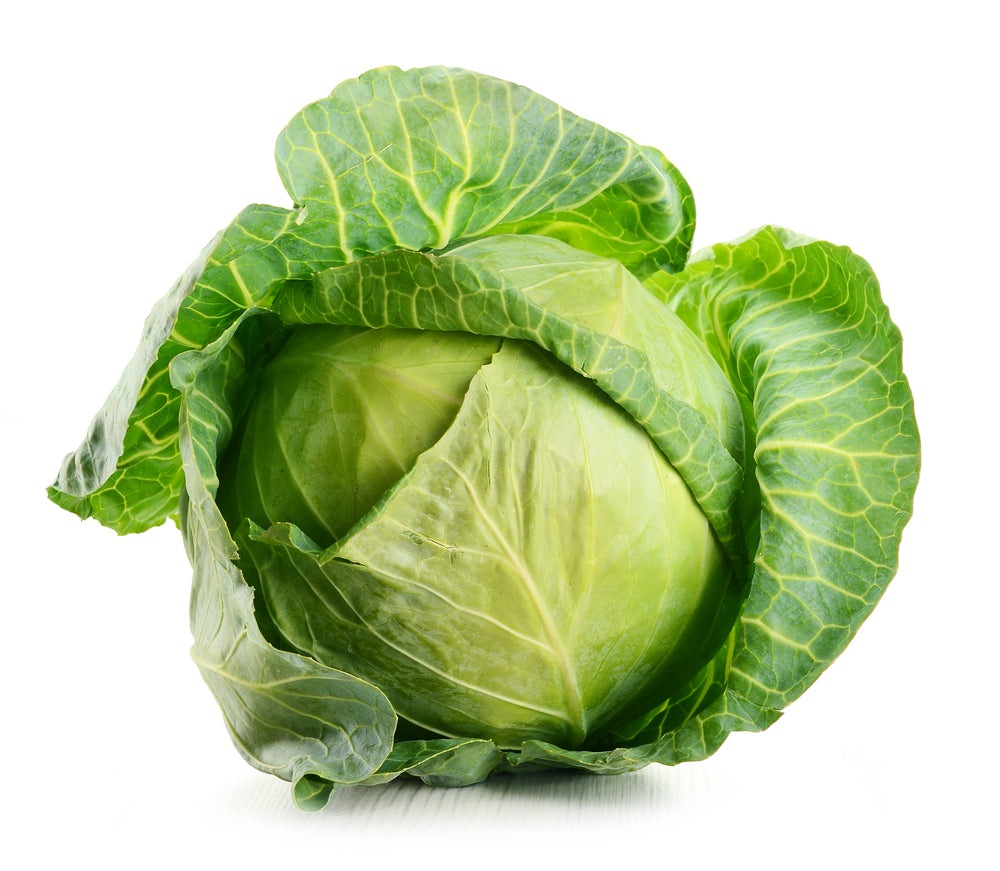 Brunswick Cabbage Seeds, 300 Heirloom Seeds Per Packet, Non GMO Seeds, Botanical Name: Brassica oleracea