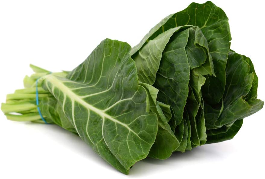 Champion Collard Greens, 1000 Heirloom Seeds Per Packet, Non GMO Seeds