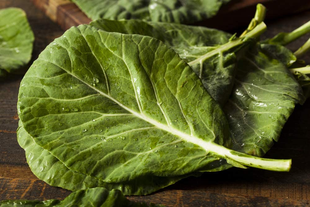 Champion Collard Greens, 1000 Heirloom Seeds Per Packet, Non GMO Seeds