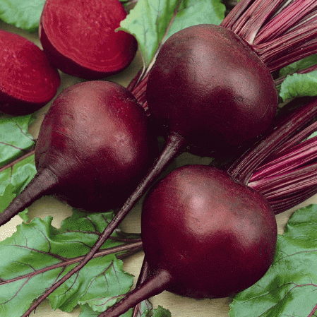 Detroit Dark Red Beet Seeds, 150 Heirloom Seeds Per Packet, Non GMO Seeds