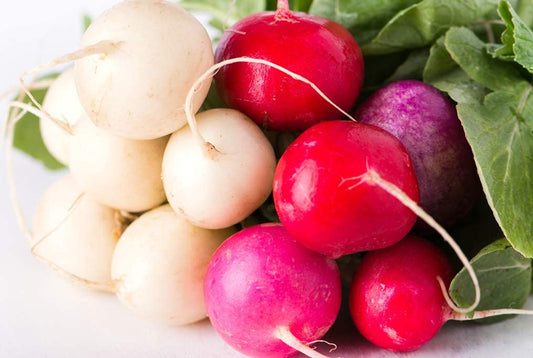 Easter Egg Blend Radish Seed, 250 Heirloom Seeds Per Packet, Non GMO Seeds