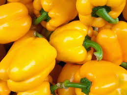 Golden California Wonder Sweet Pepper Seeds, 100 Heirloom Seeds Per Packet, Non GMO Seeds