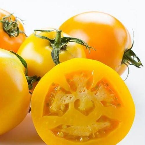Golden Jubilee Heirloom Tomato, 100 Seeds Per Packet, Non GMO Seeds, Botanical Name: Solanum lycopersicum