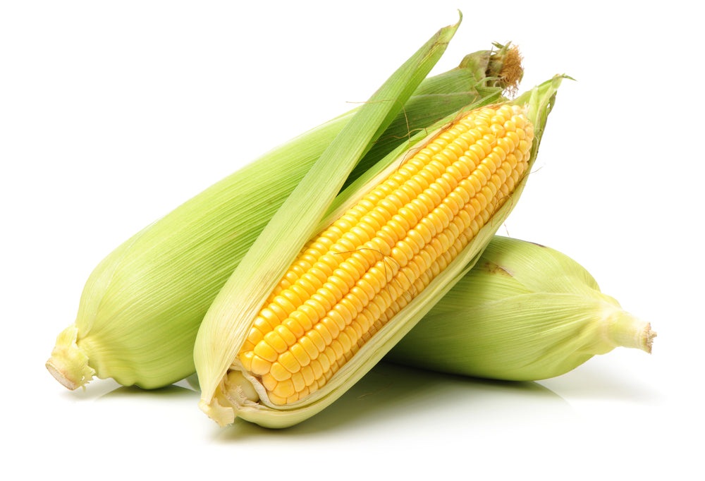 Golden X Bantom Sweet Corn Seeds, 50+ Heirloom Seeds Per Packet, Non GMO Seeds, Botanical Name: Zea mays