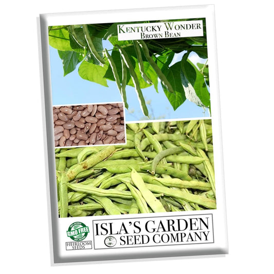Kentucky Wonder Brown Pole Bean Seeds, 30 Heirloom Seeds Per Packet, Non GMO Seeds