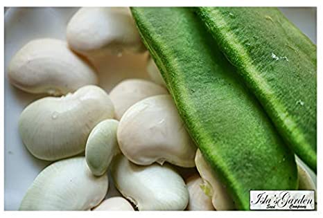 King of Garden Lima Pole Bean Seeds, 25 Heirloom Seeds Per Packet, Non GMO Seeds