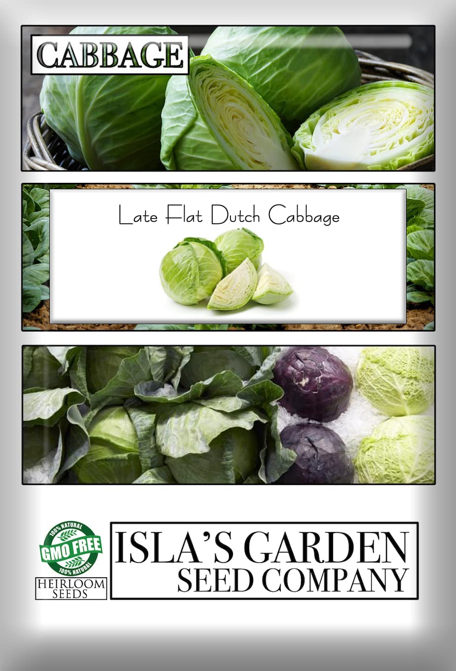 Late Flat Dutch Cabbage Seeds, 1000 Heirloom Seeds Per Packet, Non GMO Seeds, Botanical Name: Brassica oleracea VAR. capitata