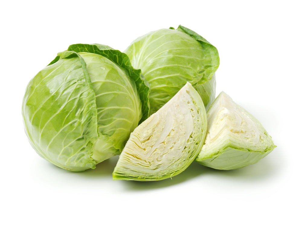 Late Flat Dutch Cabbage Seeds, 1000 Heirloom Seeds Per Packet, Non GMO Seeds, Botanical Name: Brassica oleracea VAR. capitata