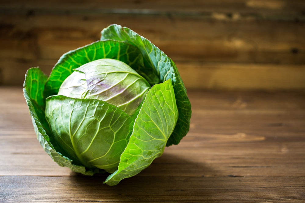 Late Flat Dutch Cabbage Seeds, 1000 Heirloom Seeds Per Packet, Non GMO Seeds, Botanical Name: Brassica oleracea VAR. capitata