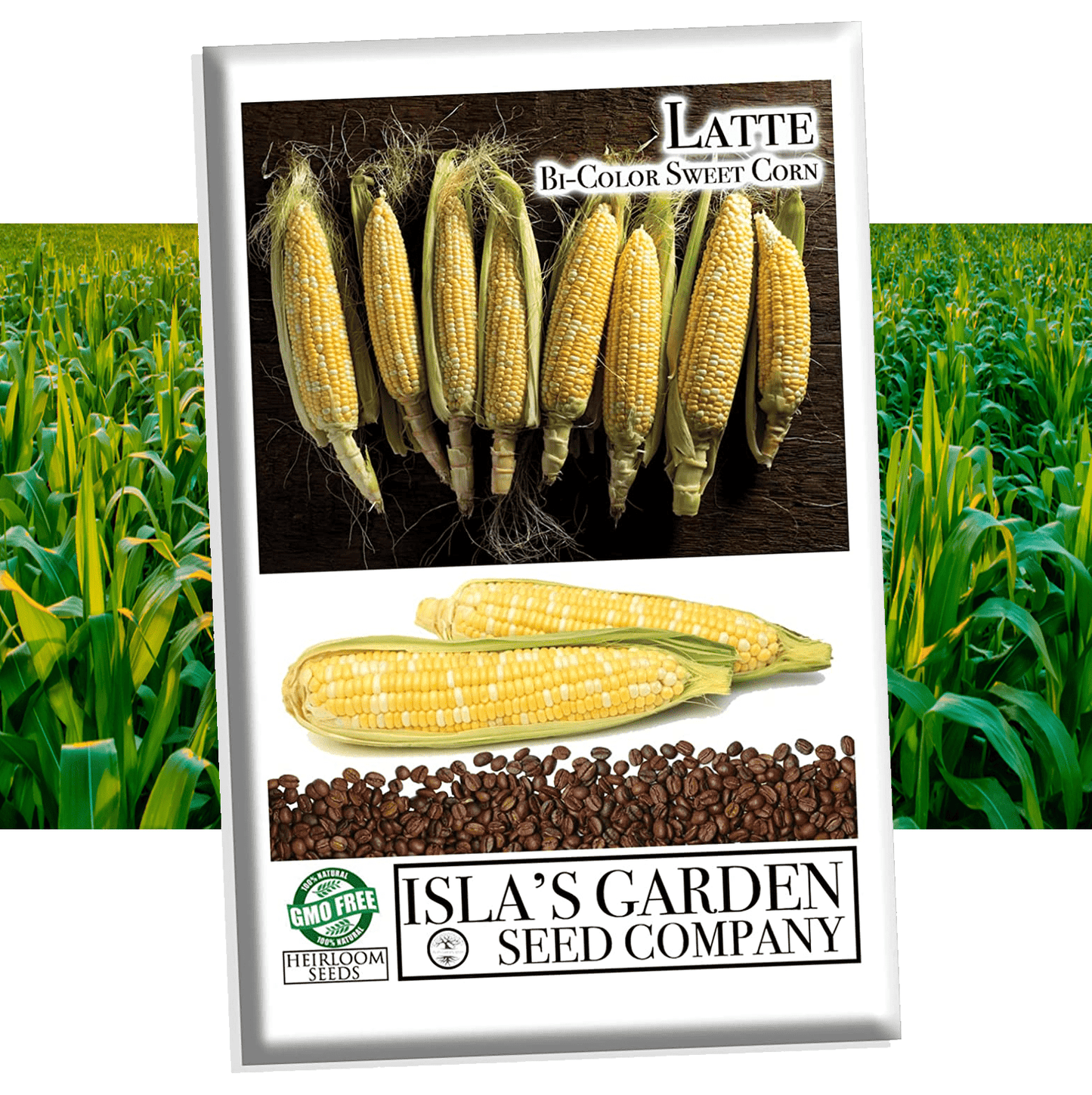 "Latte Bi-Color" Sweet Corn, 25+ Seeds Per Packet, Non GMO & Heirloom Seeds, Botanical Name: Zea mays