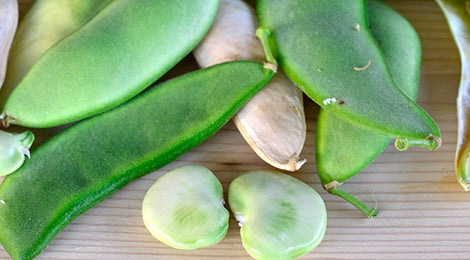 Baby Fordhook Lima Bean Seeds, 20 Heirloom Seeds Per Packet, Non GMO Seeds