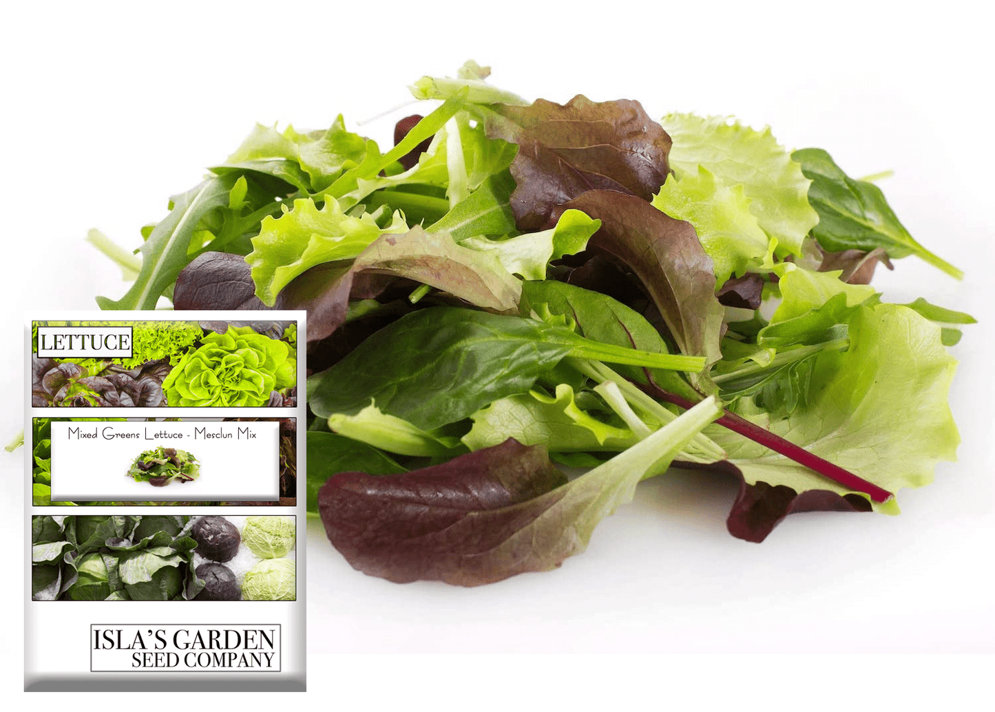 Mixed Greens Lettuce Variety, 500 Heirloom Seeds Per Packet, Non GMO Seeds