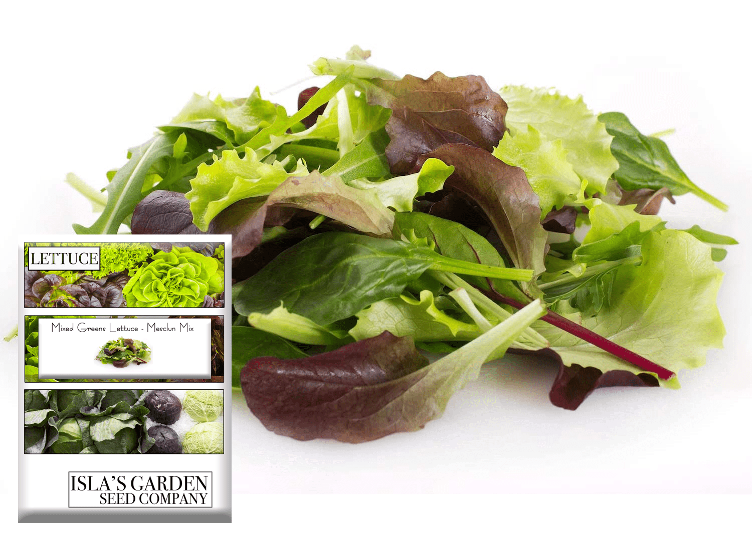 Mixed Greens Lettuce Variety, 500 Heirloom Seeds Per Packet, Non GMO Seeds