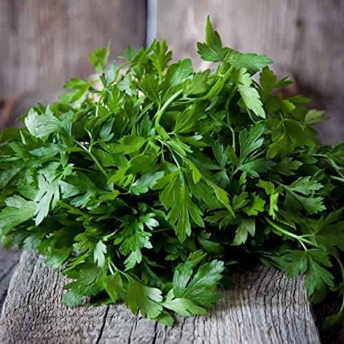 Plain Single Parsley, 250 Seeds Per Packet