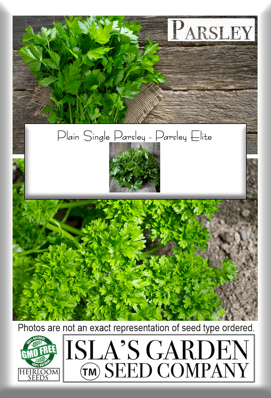 Plain Single Parsley, 250 Seeds Per Packet