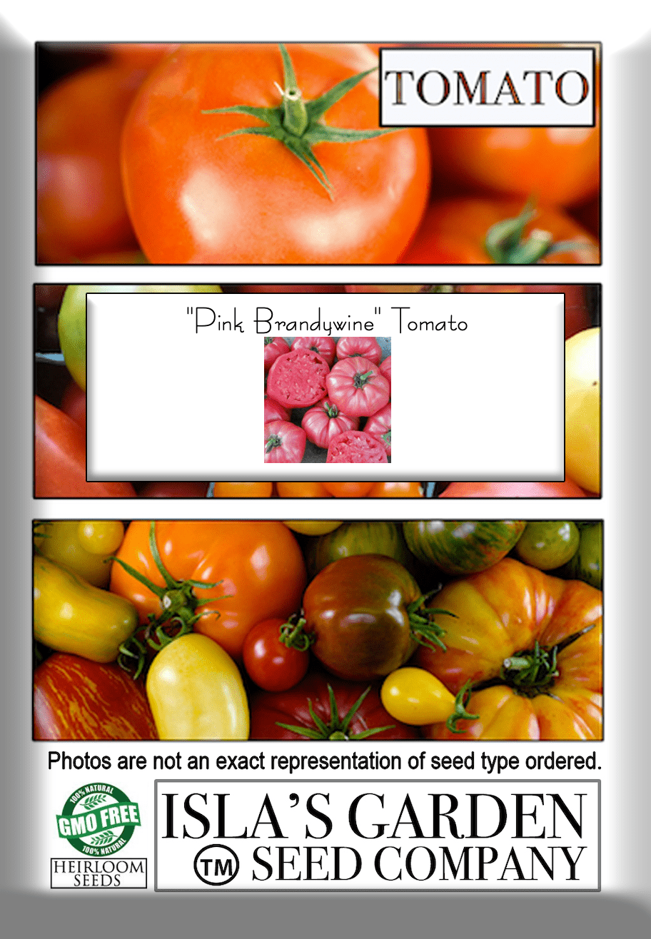 Pink Brandywine Tomato Seeds, 100 Heirloom Seeds Per Packet, Non GMO Seeds