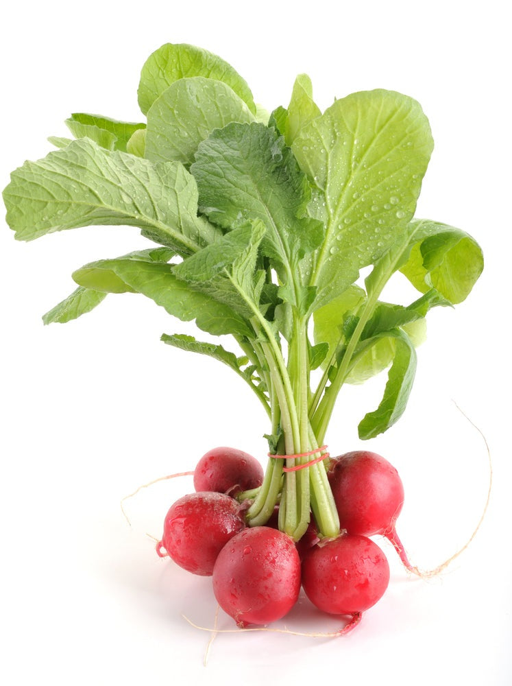Pink Celebration Radish Seeds, 100 Heirloom Seeds Per Packet, Non GMO Seeds