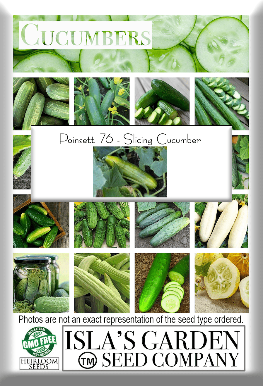 Poinsett 76 Cucumber, 100 Seeds Per Packet, Non GMO Seeds