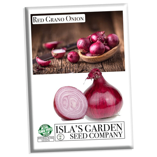 Red Grano Onion Seeds, 300 Heirloom Seeds Per Packet, Non GMO Seeds