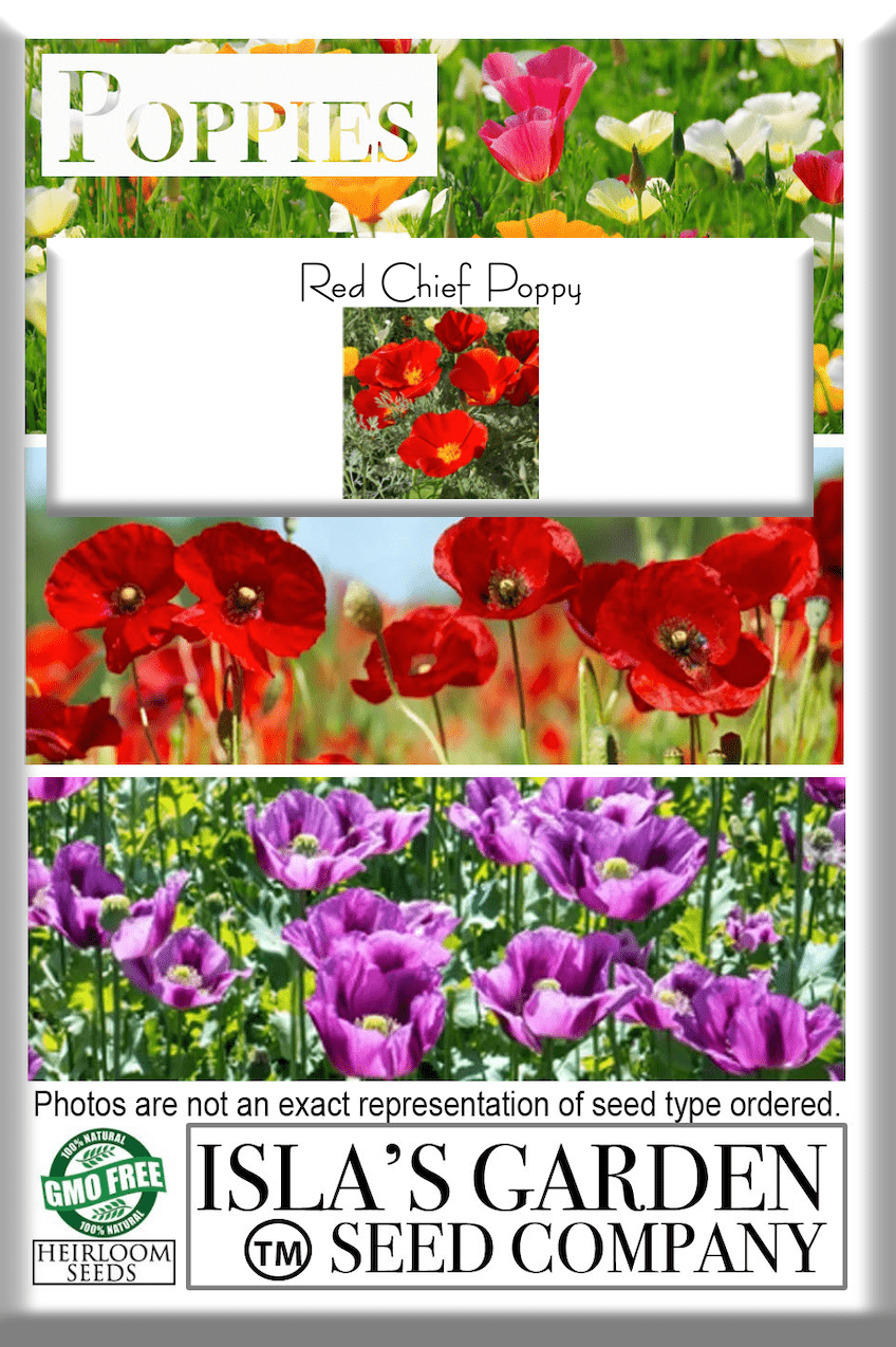 Red Chief California Poppy, 2000 Seeds Per Packet