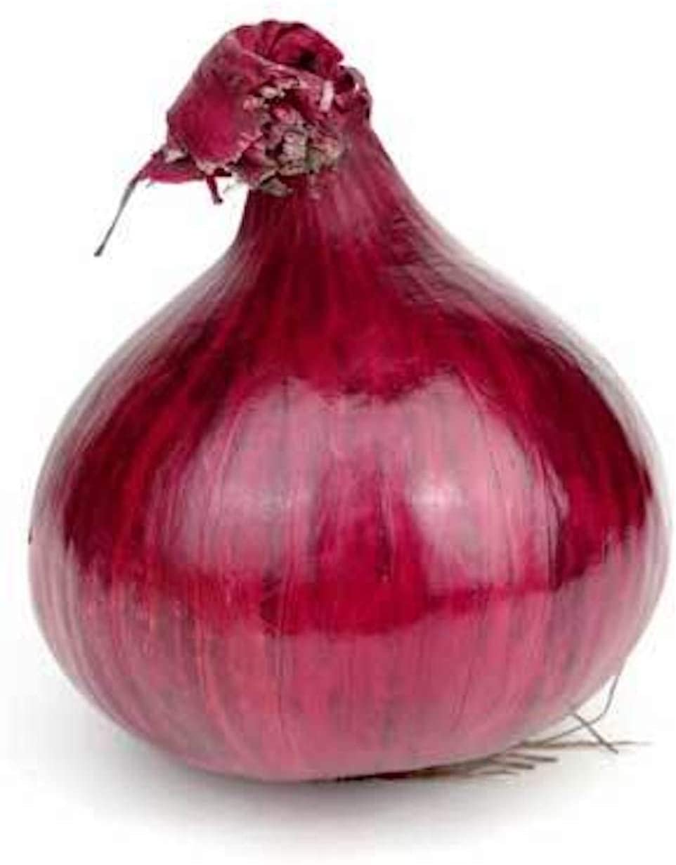 Red Grano Onion Seeds, 300 Heirloom Seeds Per Packet, Non GMO Seeds