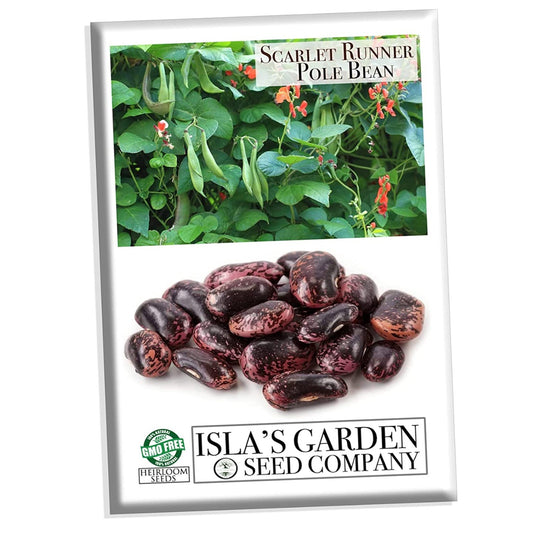 Scarlet Runner Pole Bean, 25 Heirloom Seeds Per Packet, Non GMO Seeds