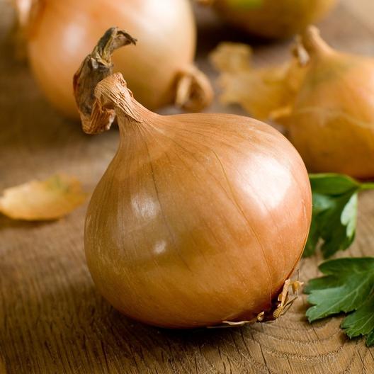 Texas Early Grano Onion, 300 Heirloom Seeds Per Packet, Non GMO Seeds