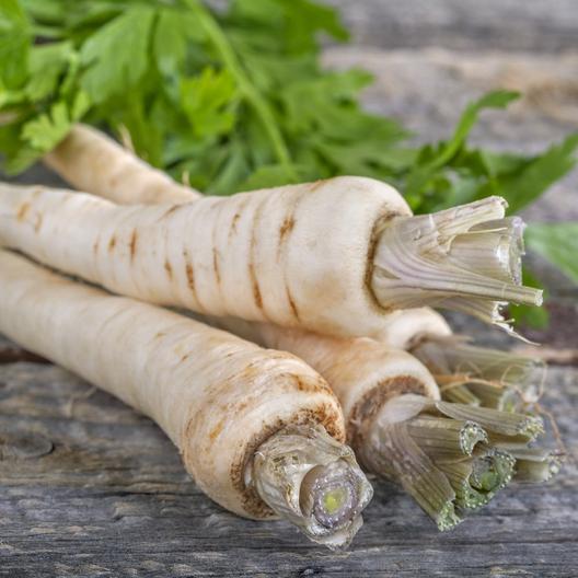 Harris Model Parsnip, 300 Heirloom Seeds Per Packet, Non GMO Seeds