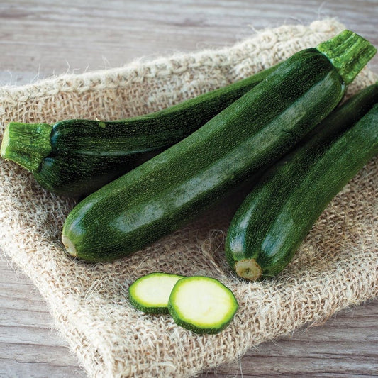 Black Beauty Summer Squash, 25 Heirloom Seeds Per Packet, Non GMO Seeds