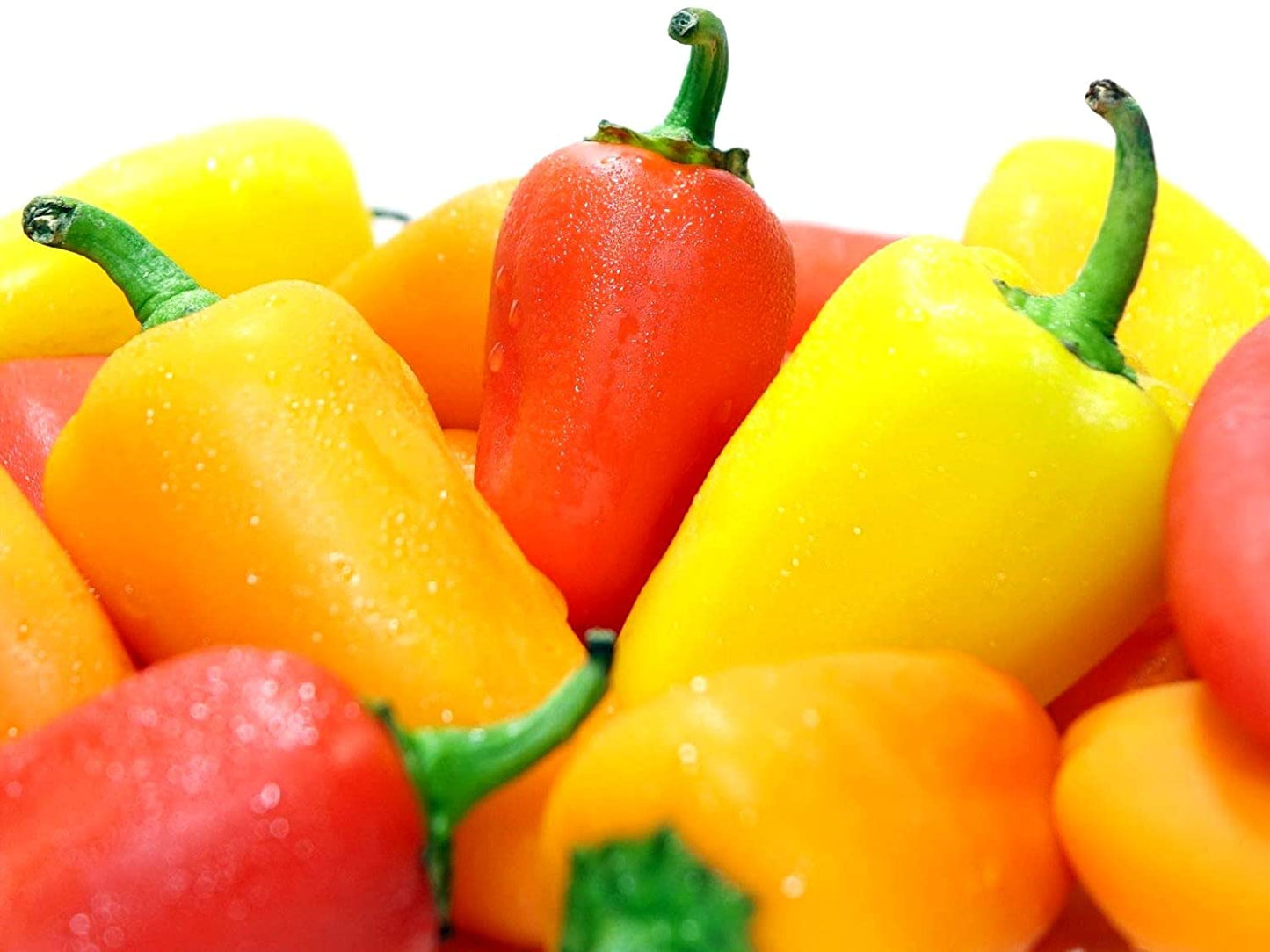 Santa Fe Grande Hot Pepper Seeds, 50+ Heirloom Seeds Per Packet, Non GMO Seeds