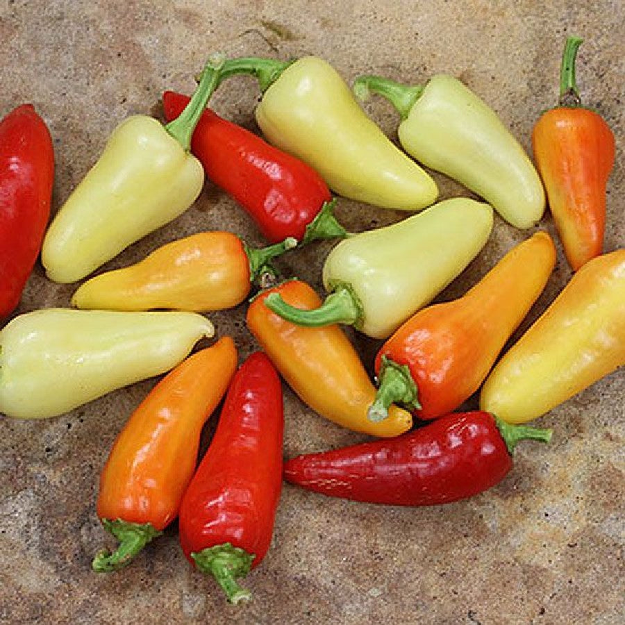 Santa Fe Grande Hot Pepper Seeds, 50+ Heirloom Seeds Per Packet, Non GMO Seeds